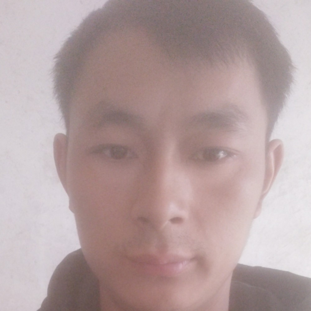 无辜停止蛋挞的照片