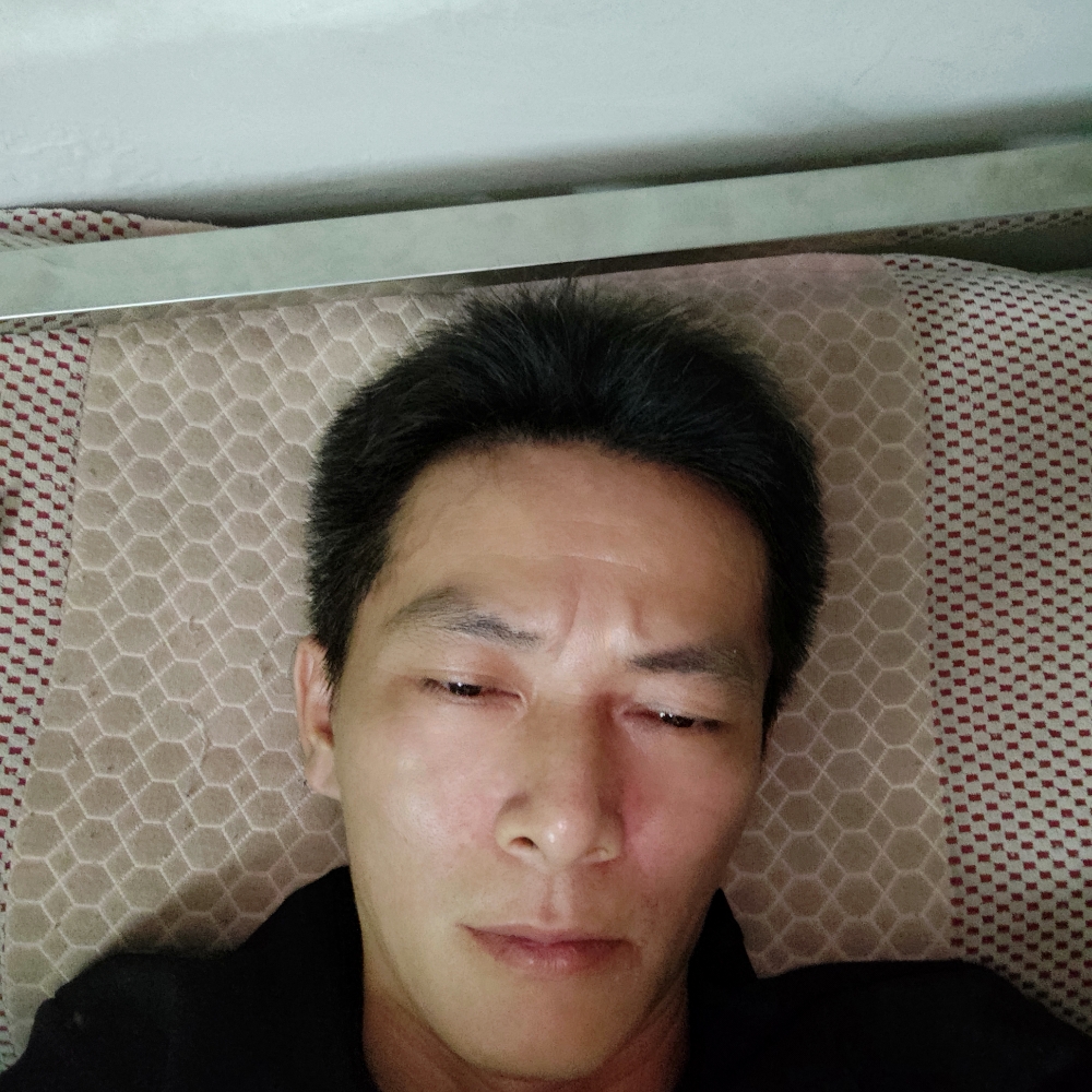 醉梦的危机的照片