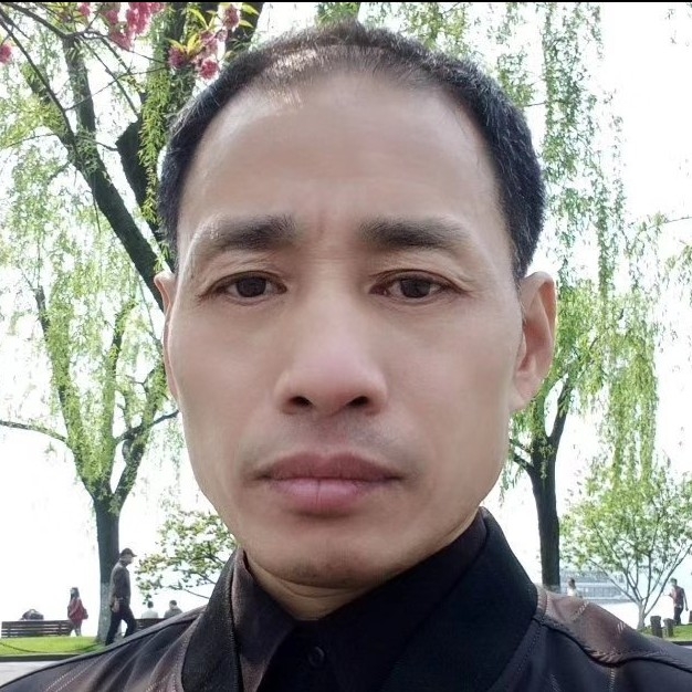 杨柳新枝的照片