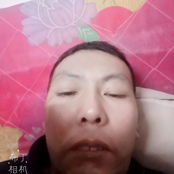 朴素火龙果的照片