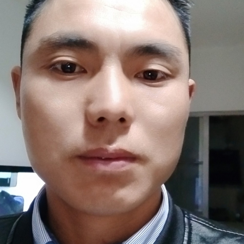 战斗机勤劳的照片