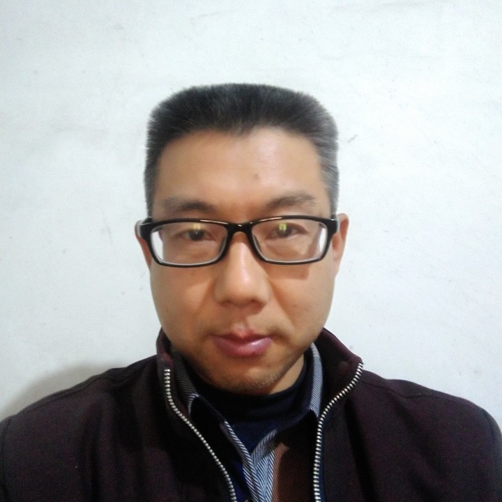 无情倾心飞鸟的照片