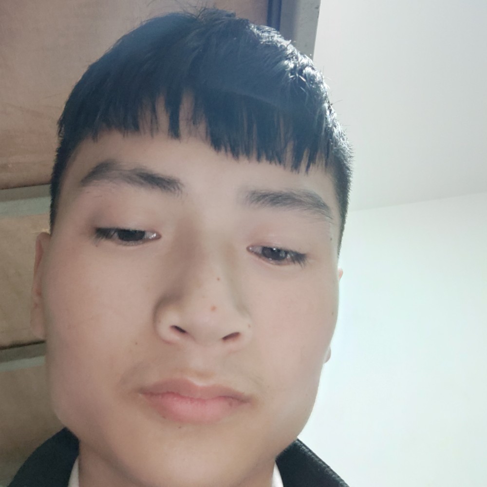 蝶舞爱恋聪明的照片