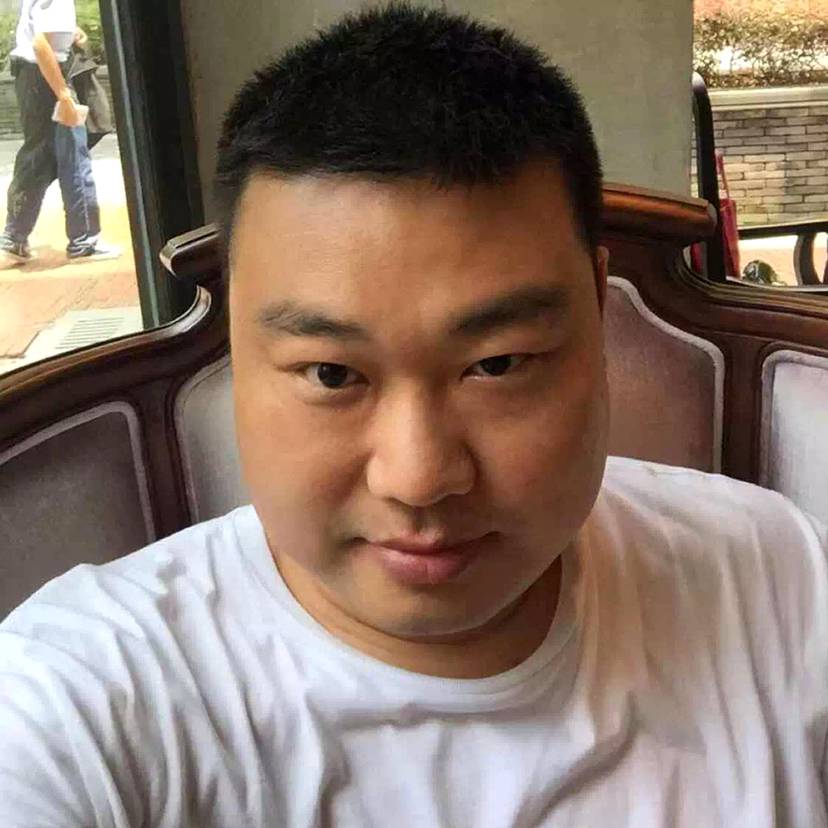 灰狼给含糊的照片