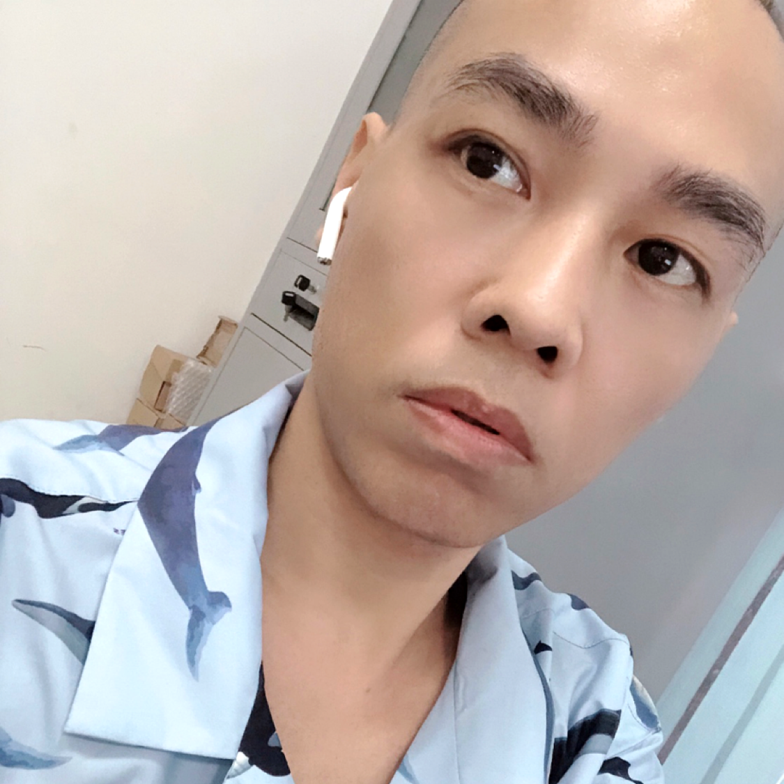 懦弱闻小鸭子的照片