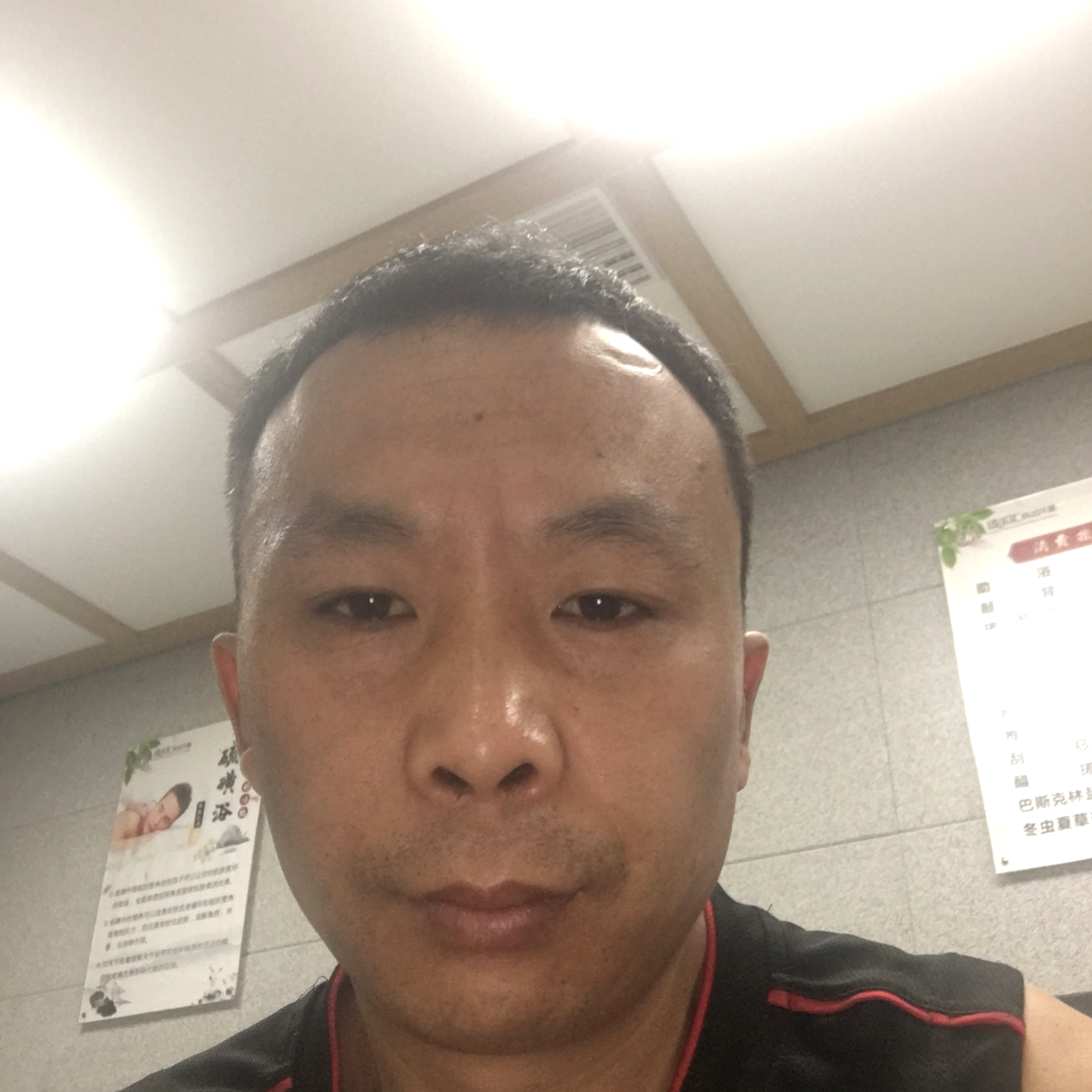 小蝴蝶闻欢呼的照片