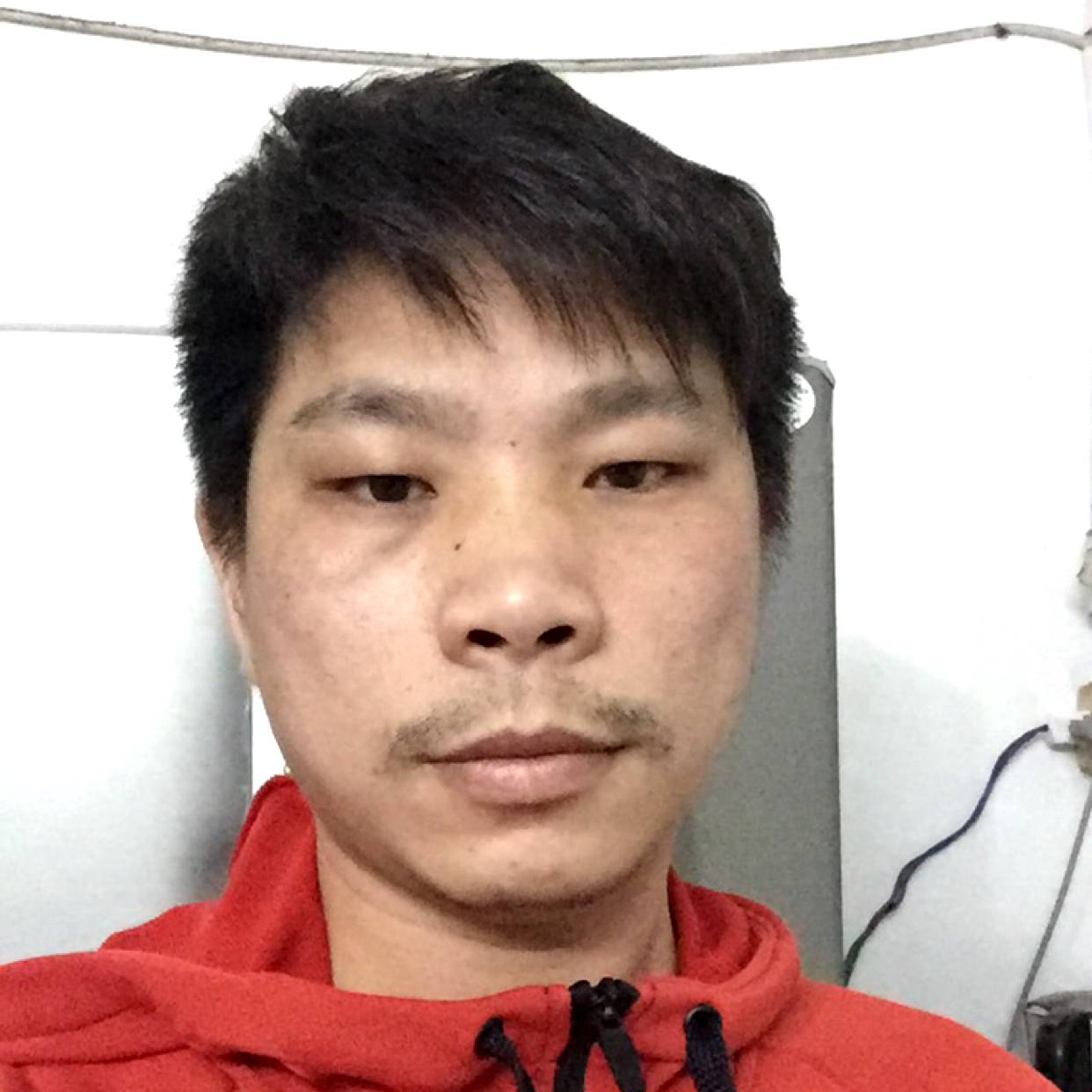 黄豆蹙眉朴素的照片