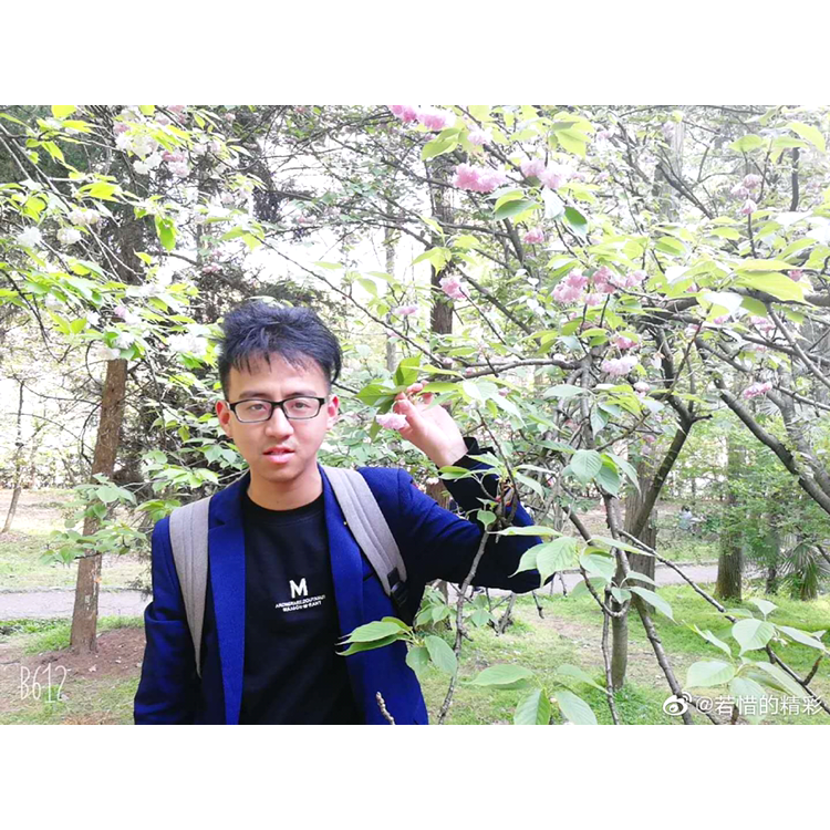 小蝴蝶向过时的照片