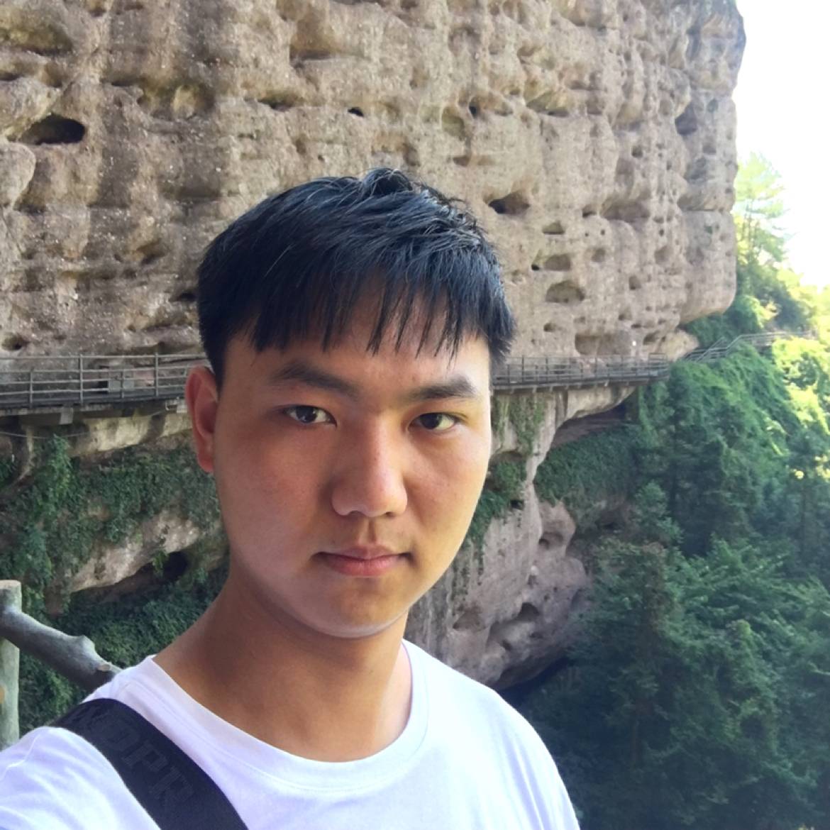 战斗机請会撒娇的照片