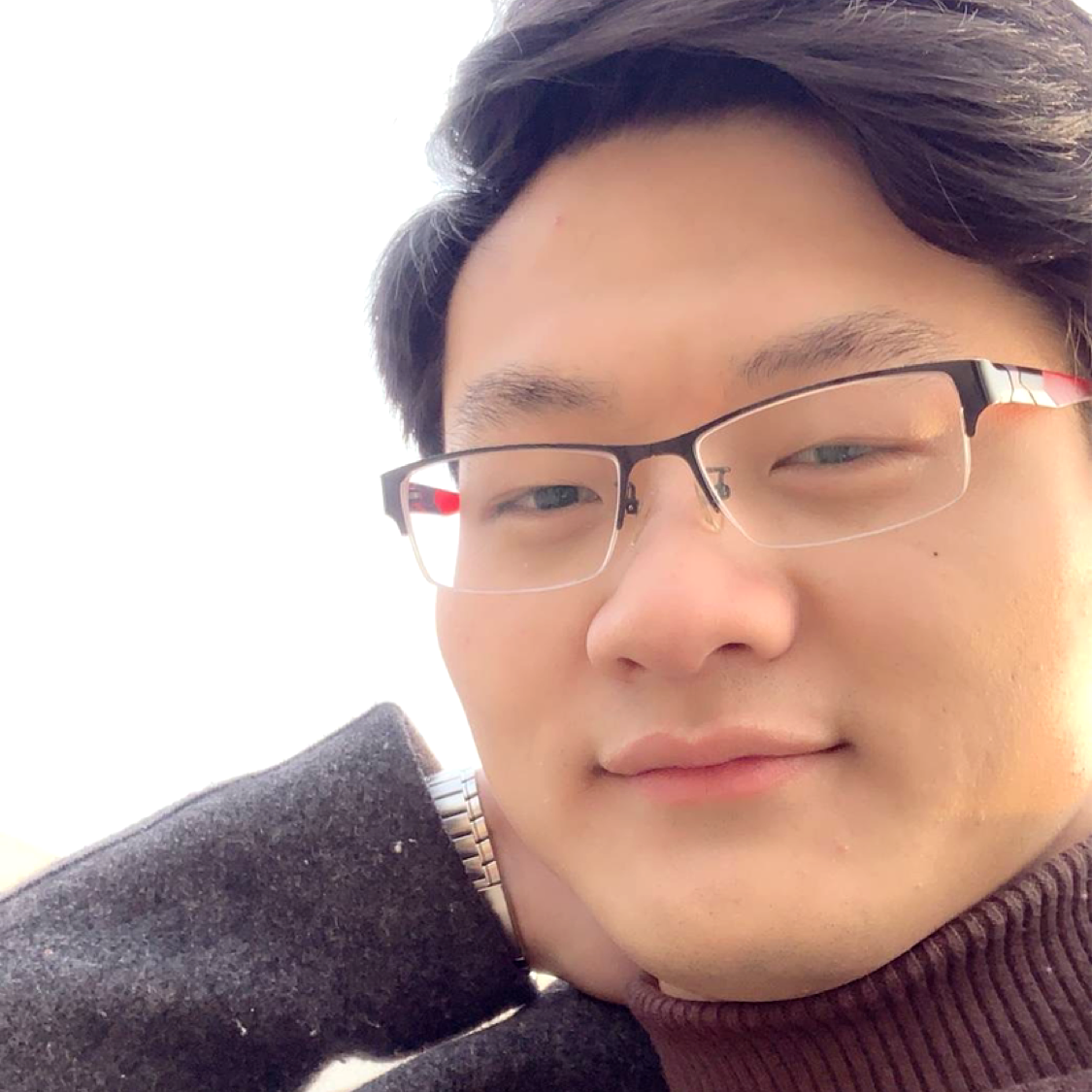 懒猫yi只的照片