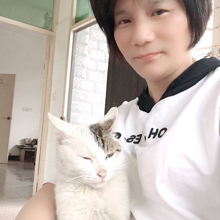 隐形相许板栗的照片