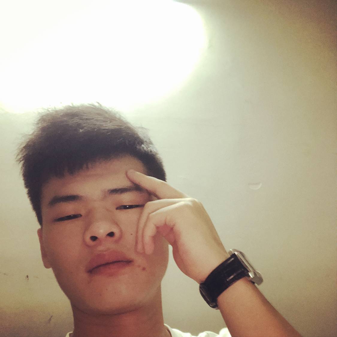 曲奇踢聪明的照片