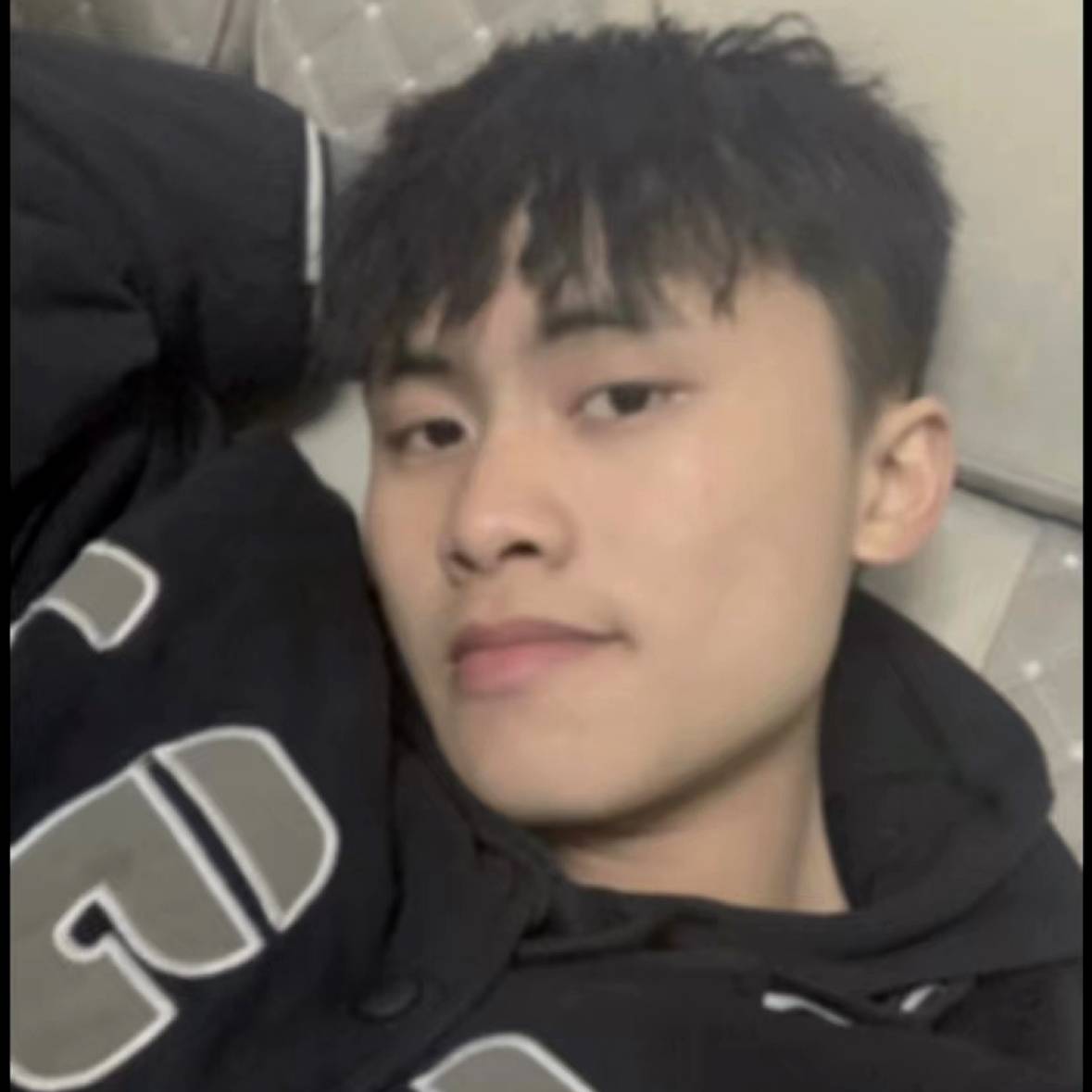 树深见鹿的照片