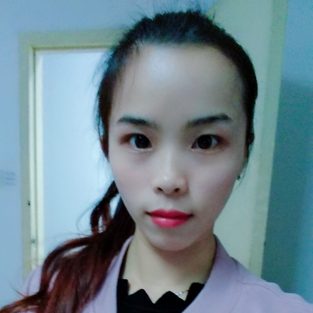 独一无二的燕的照片