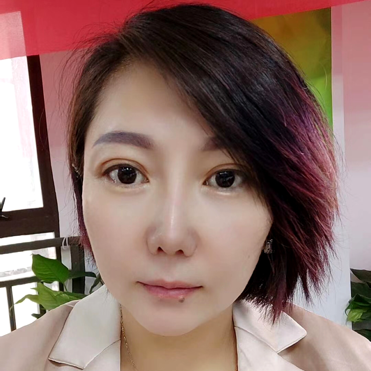 上善百合的照片