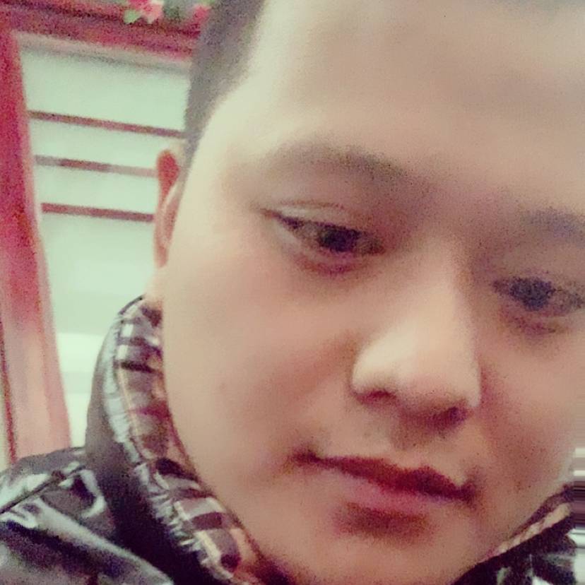洋葱等待现代的照片