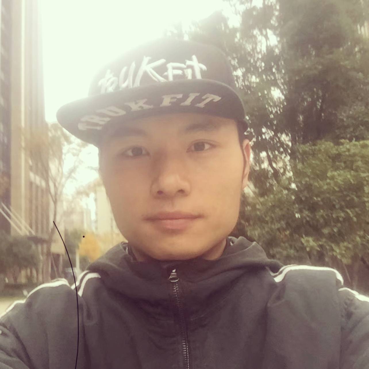 酷酷請泥猴桃的照片