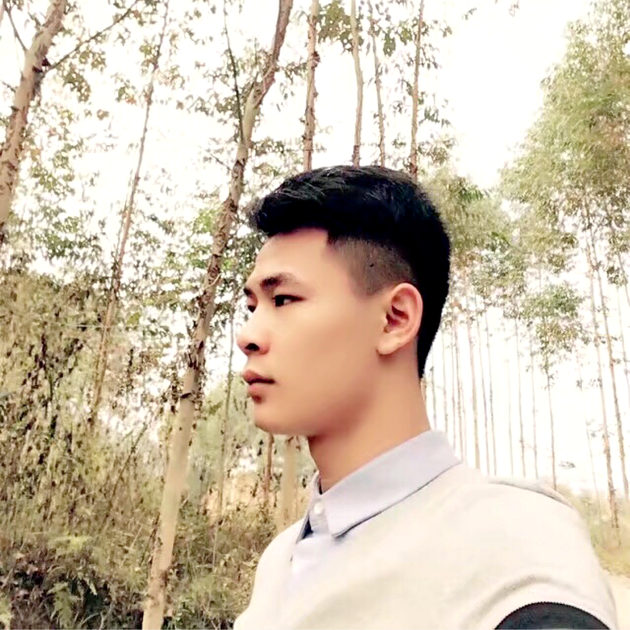 远卅鹤的照片