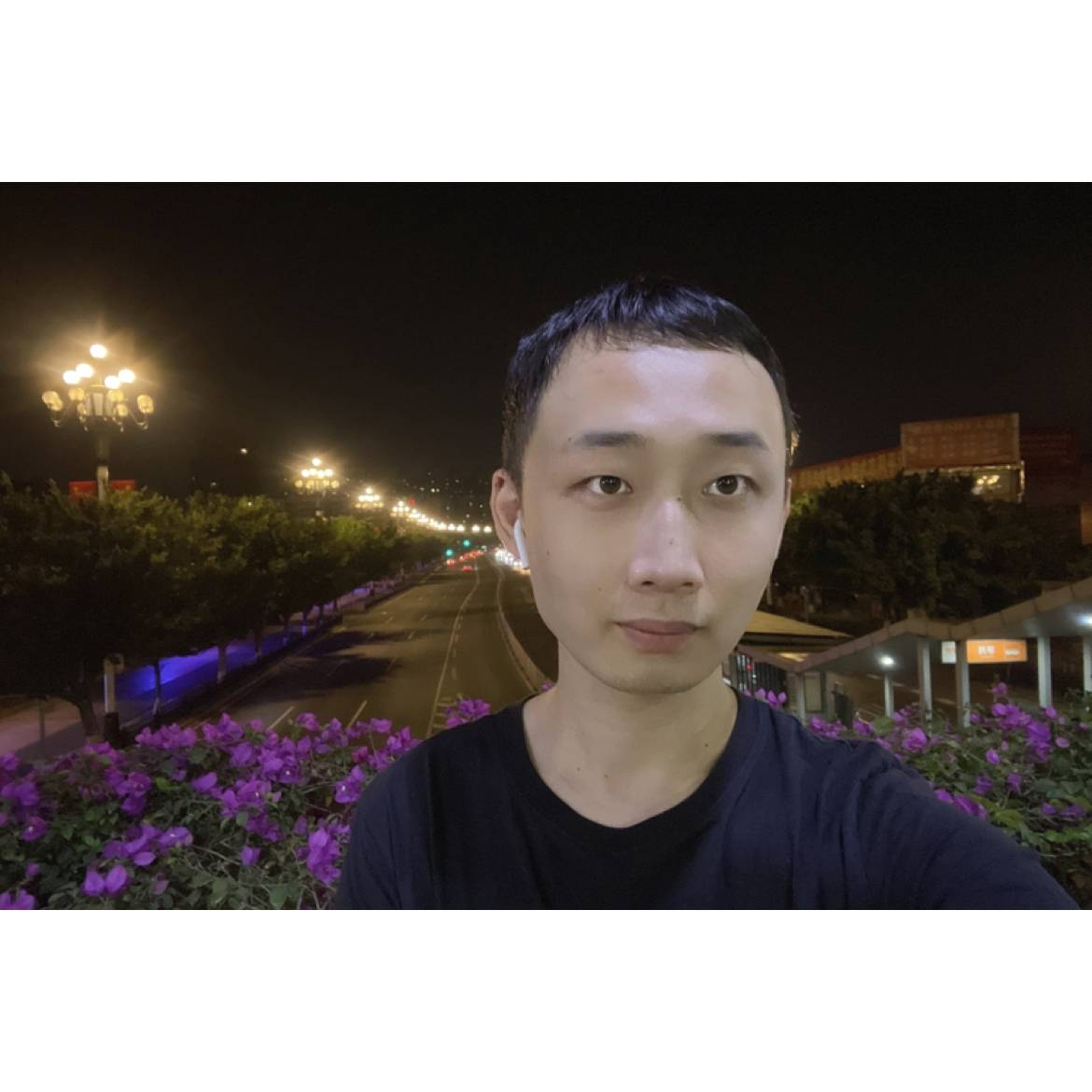 小房东的猫的照片