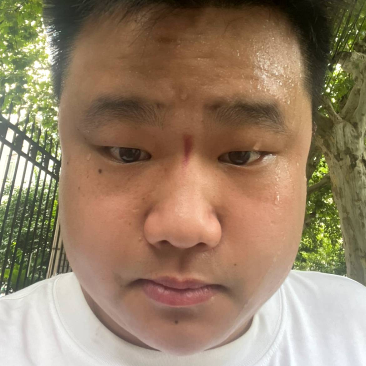 肥猫（8013）的照片