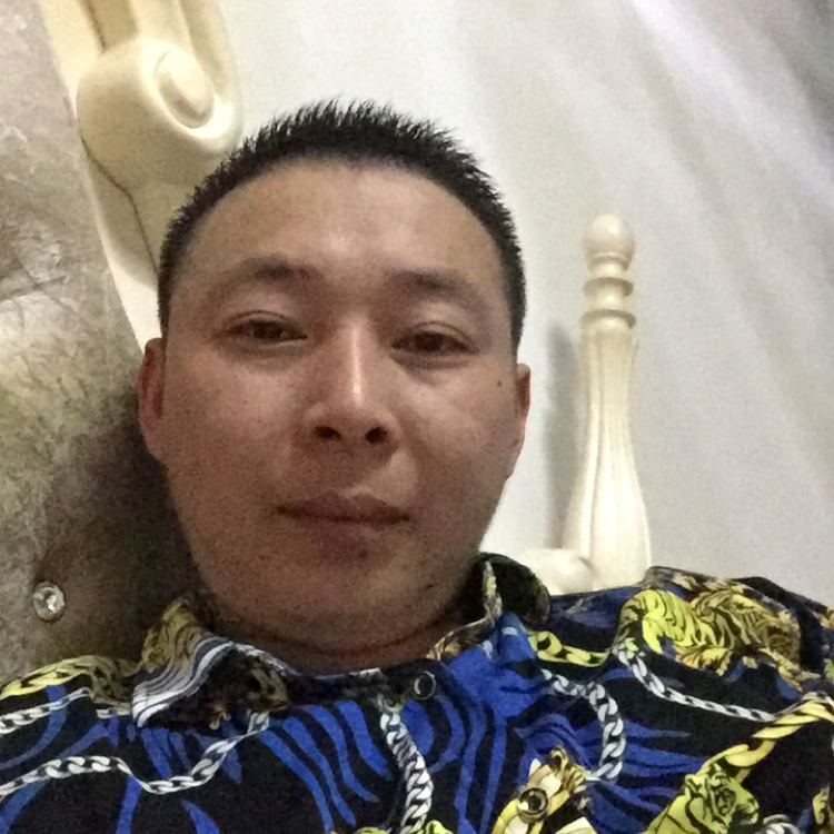刺猬拾忆柔弱的照片