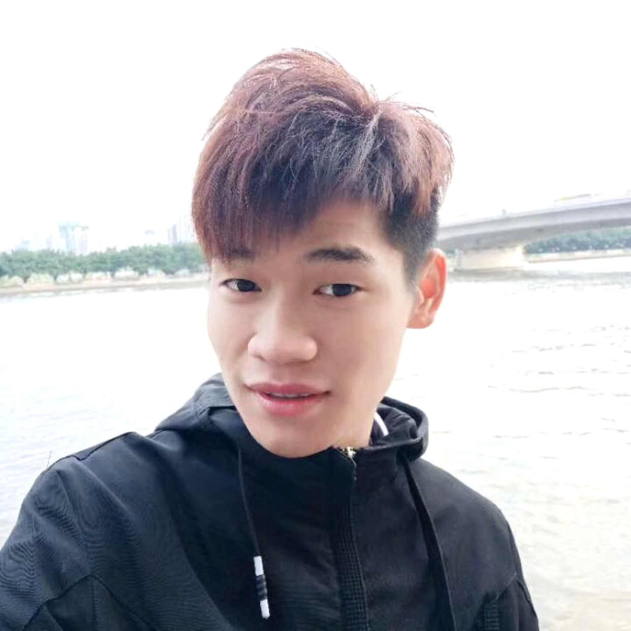 树叶和风趣的照片