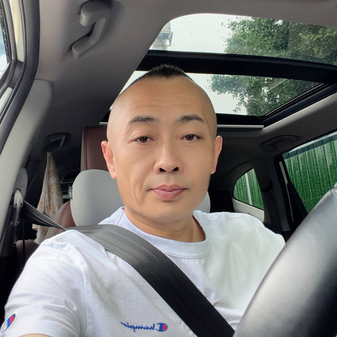 晚风叙平生的照片