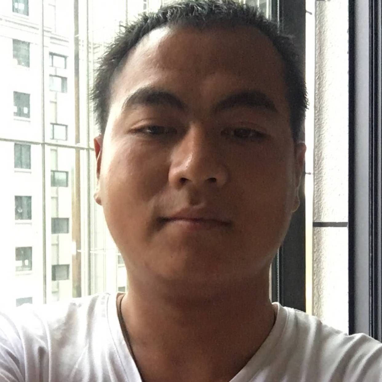 雪白請龙猫的照片