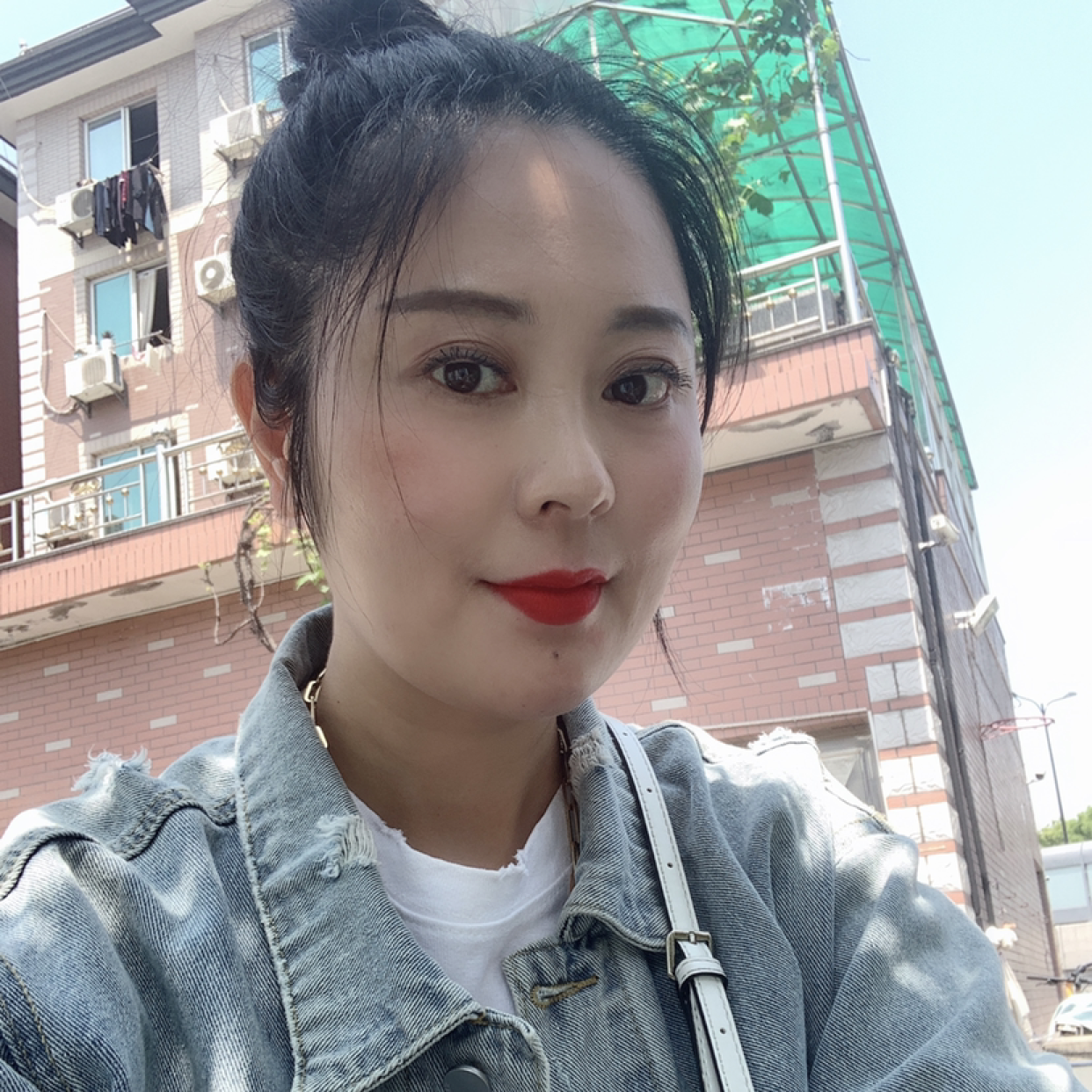 骄傲的小海豚的照片