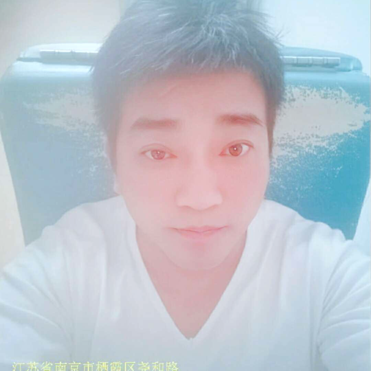 勤劳漫步小蚂蚁的照片