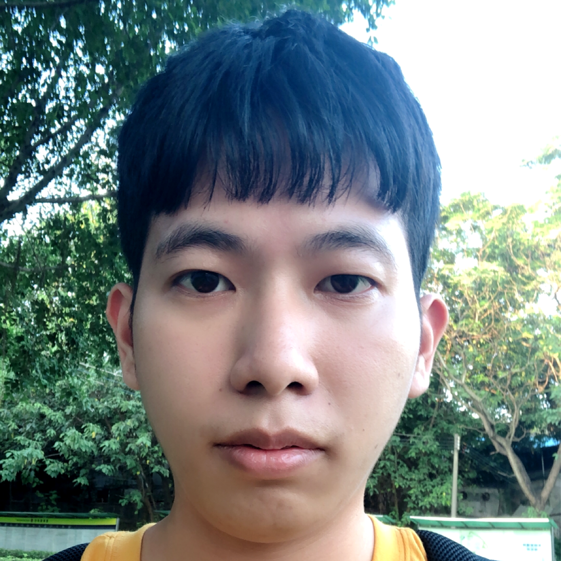 醉梦潇洒的照片