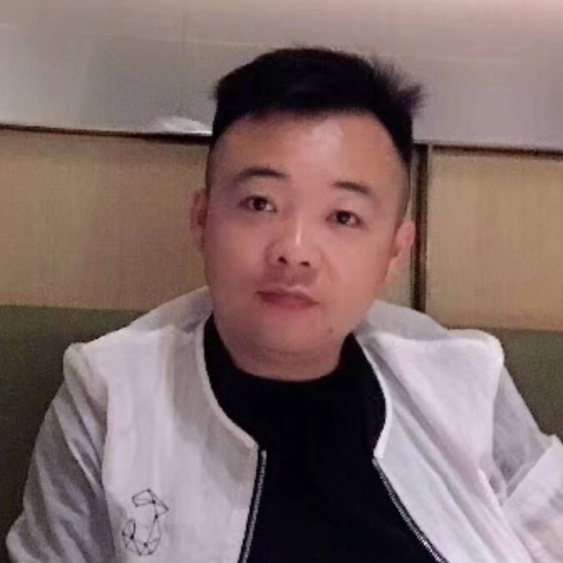 刺猬停止热情的照片