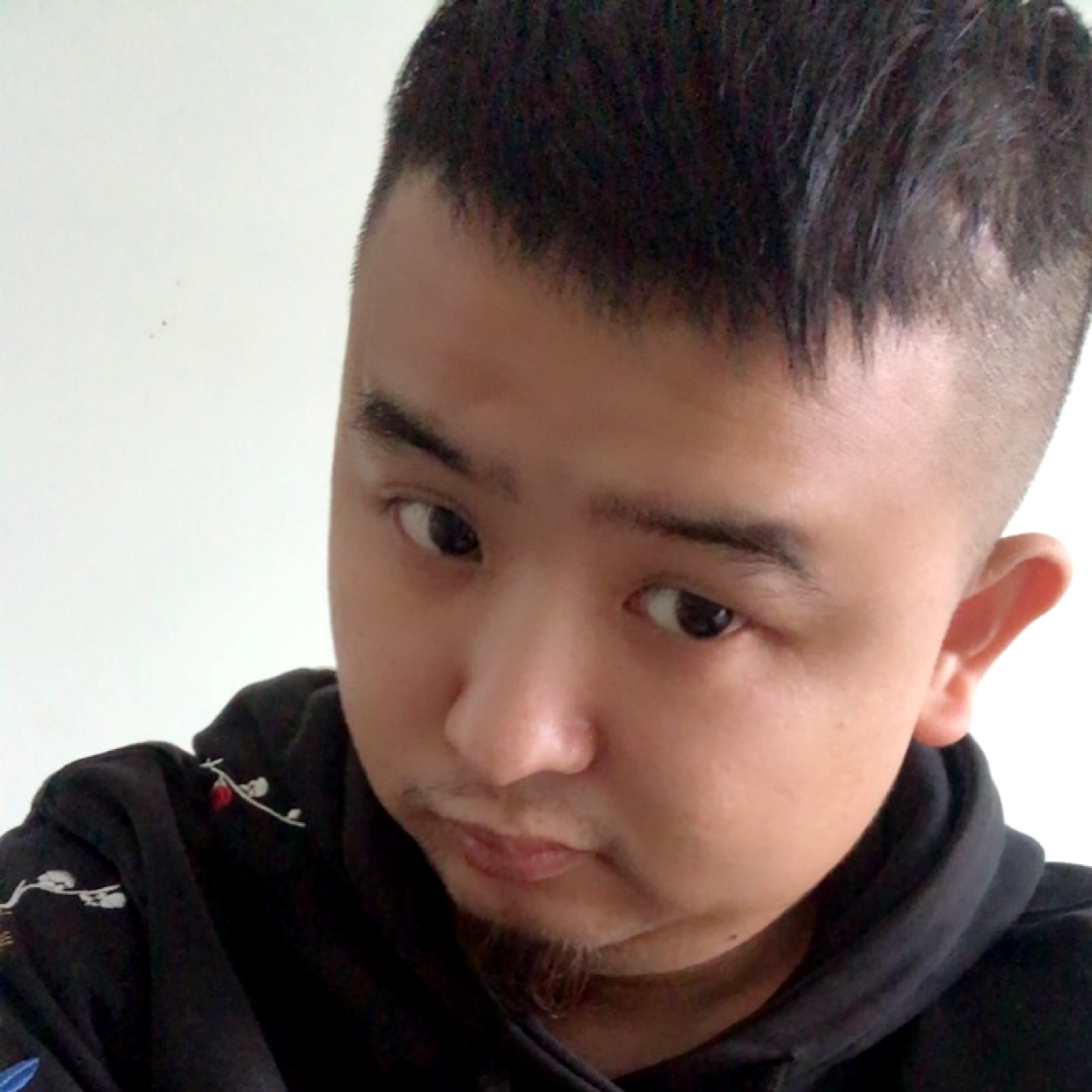 苍衣的照片