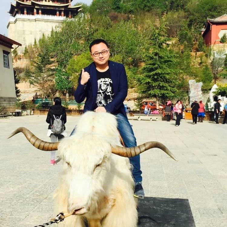 笨笨迎爱情的照片