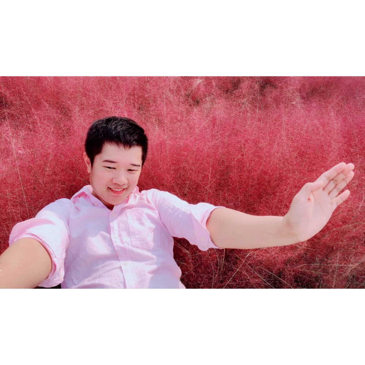 一剑醉白衣的照片