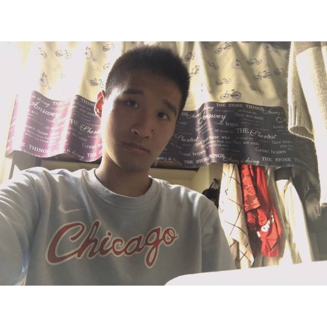 樱花开了的照片