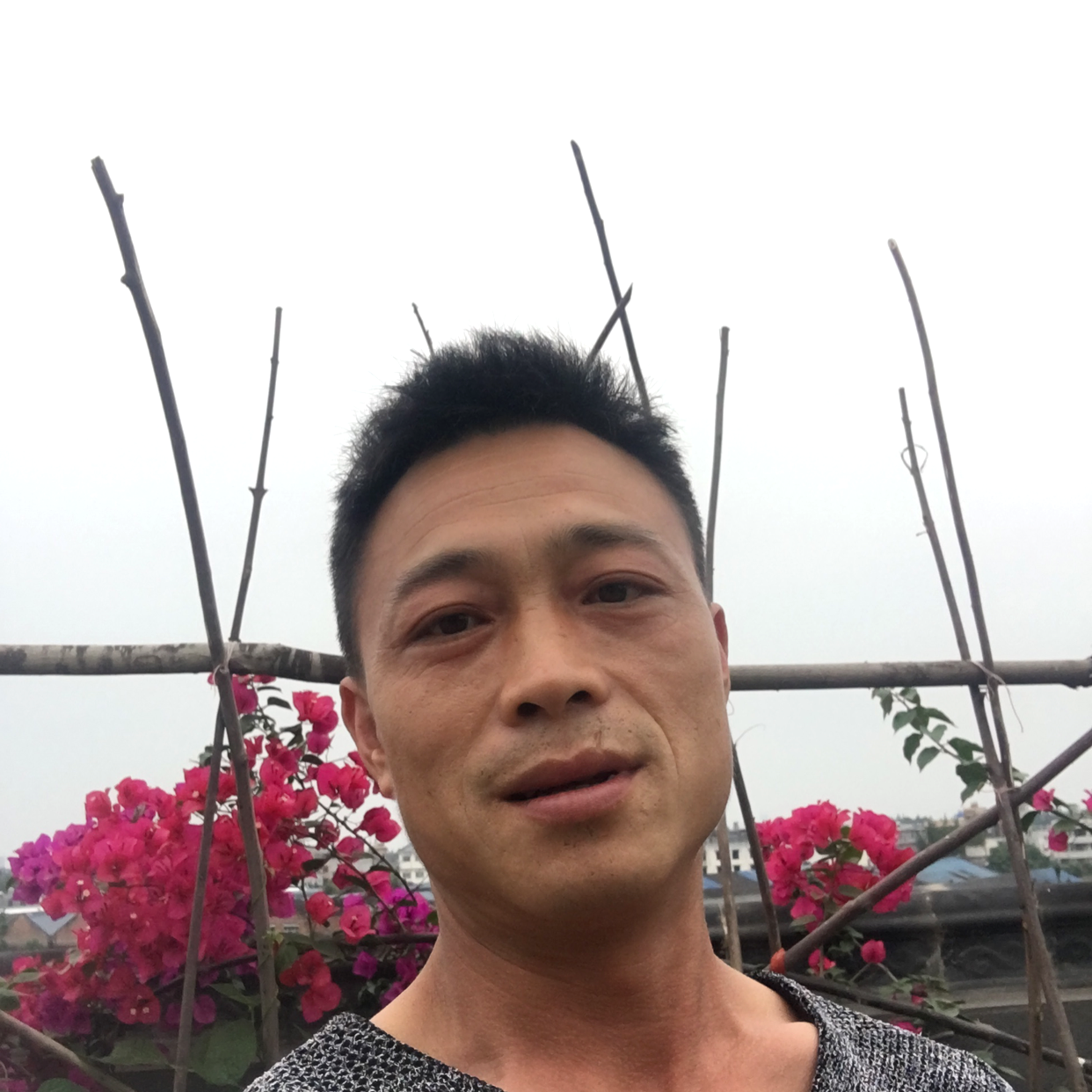 青衣蹁跹刻苦的照片