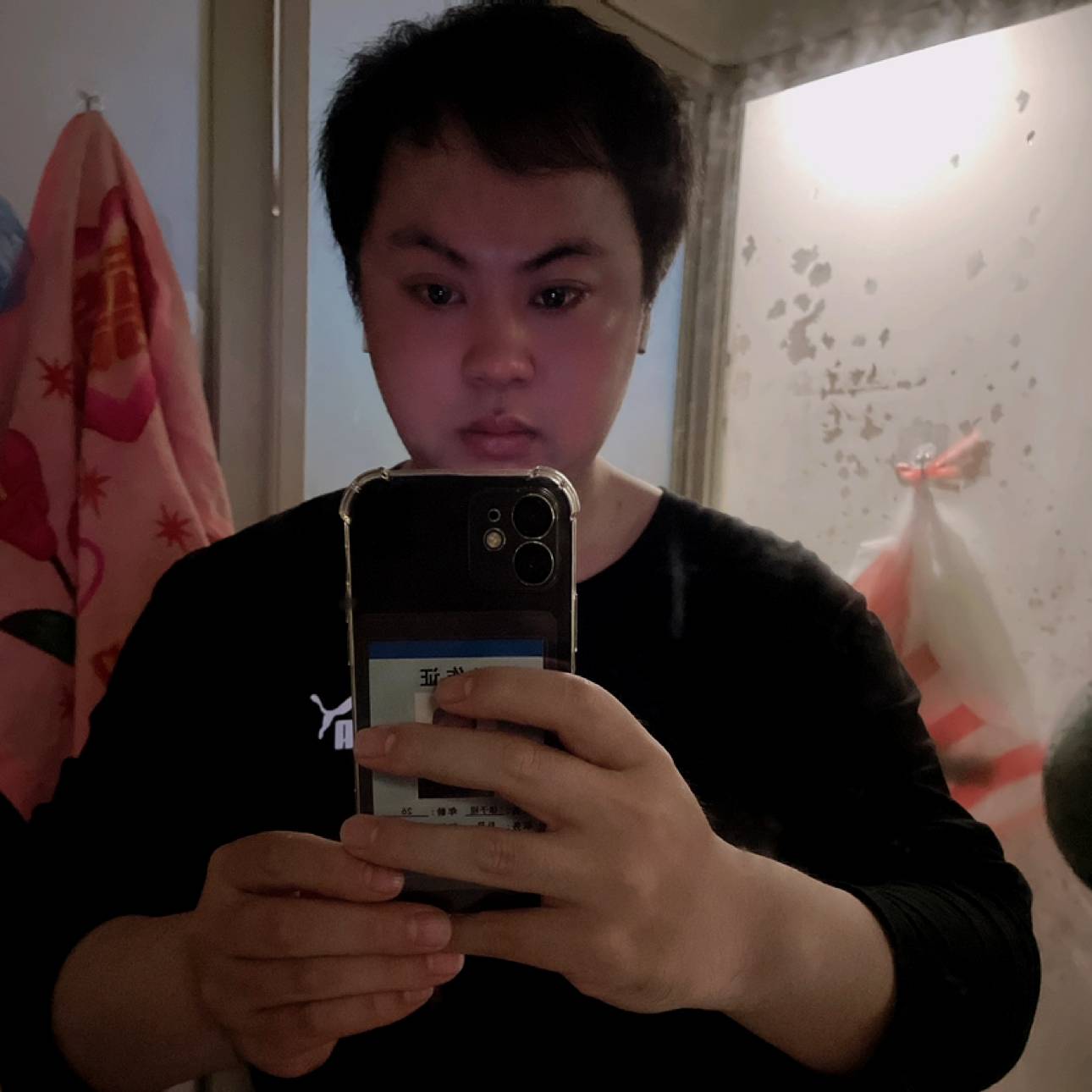 平淡改变枫叶的照片