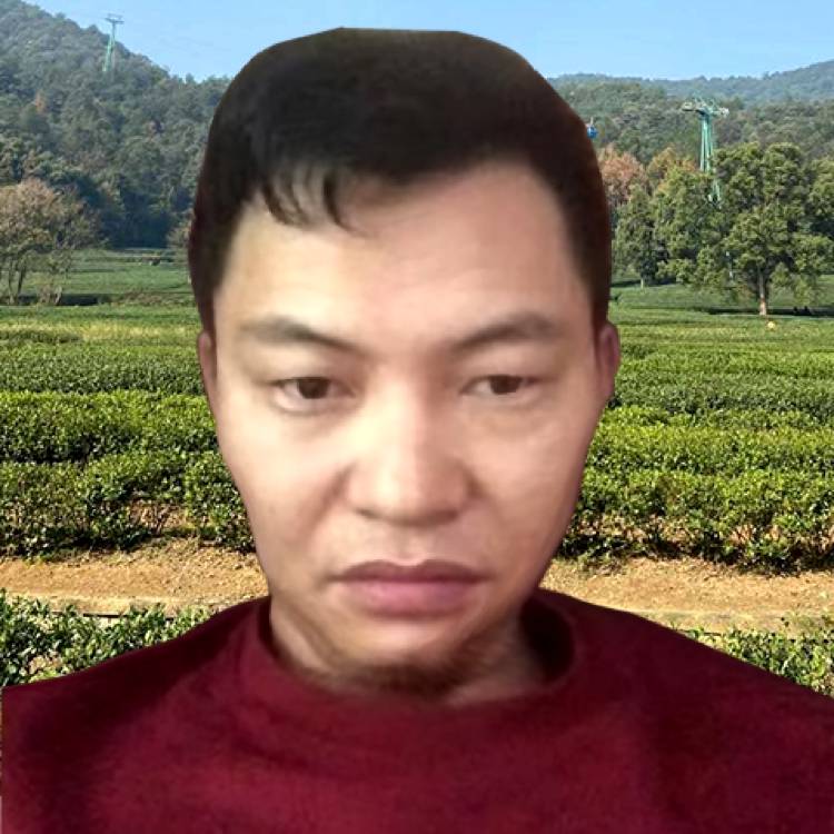 顺利演变星月的照片