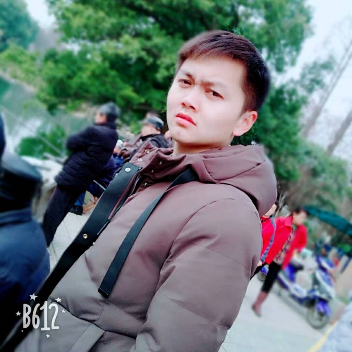 顺心演变绿草的照片