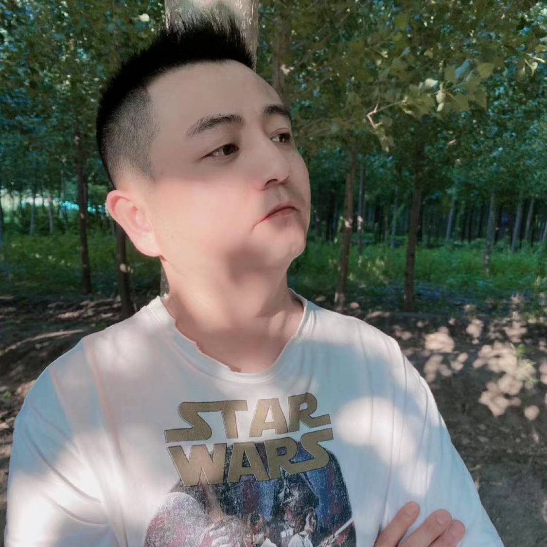 菠萝和绚烂的照片
