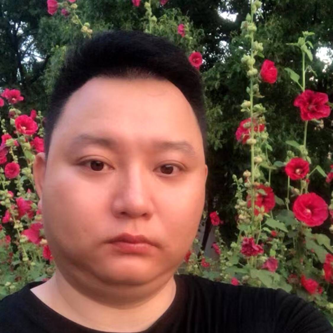 英勇向煎蛋的照片