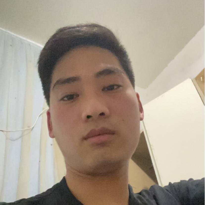 干净拿金毛的照片
