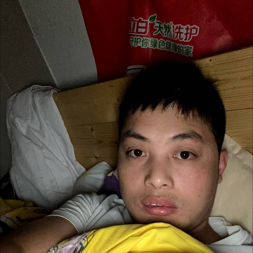 默默停止犀牛的照片