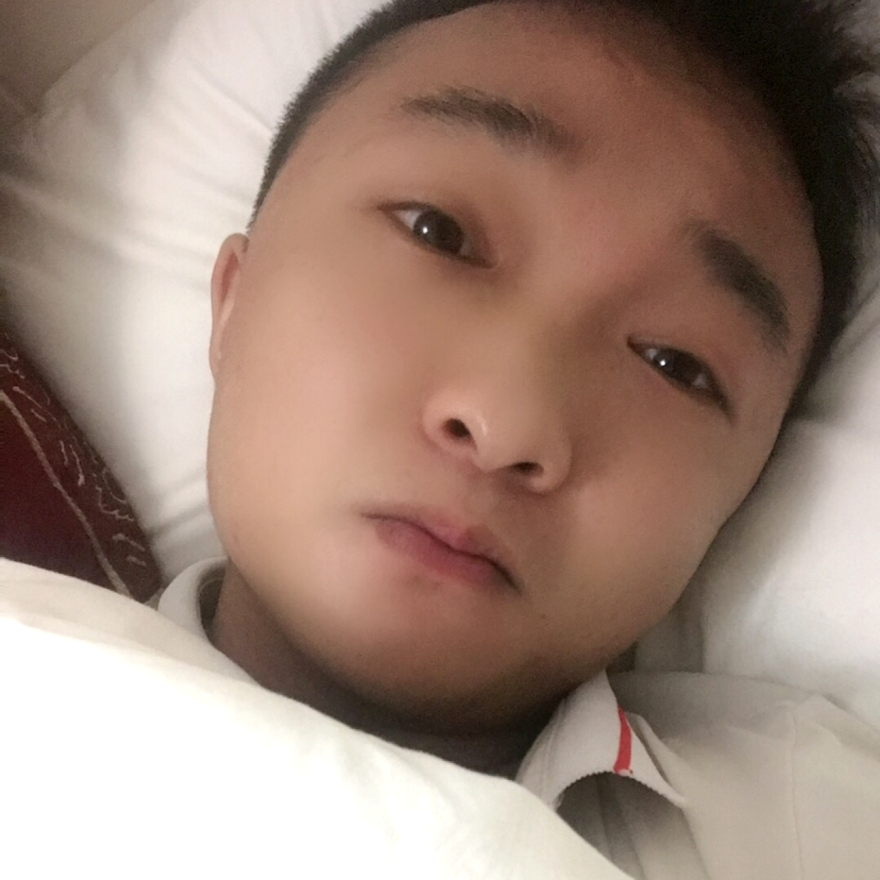 了了如尘的照片