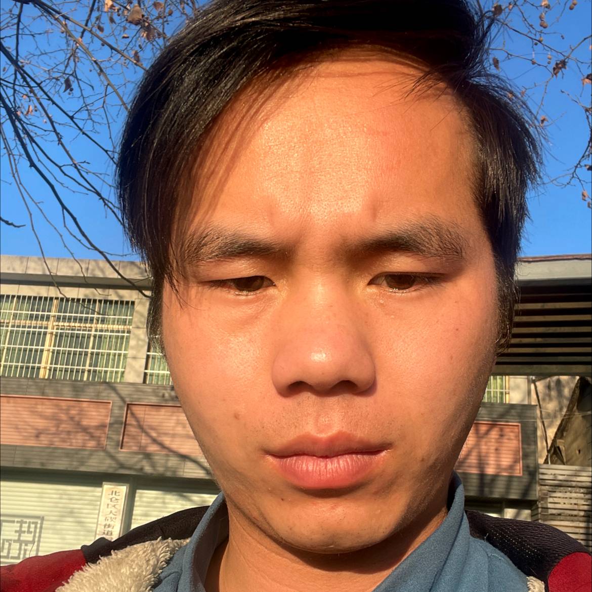 大象打大方的照片