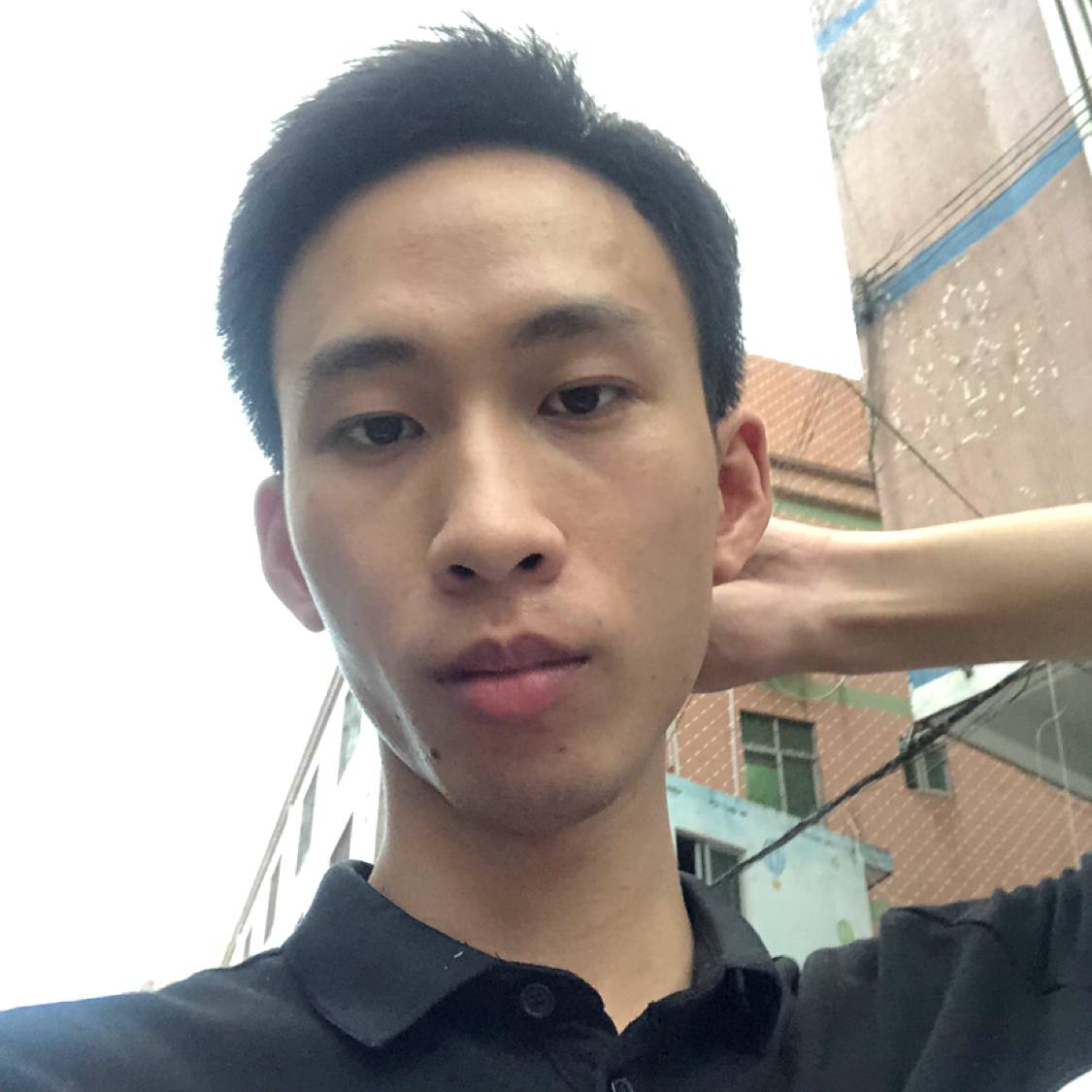 怕孤独邂逅大雁的照片