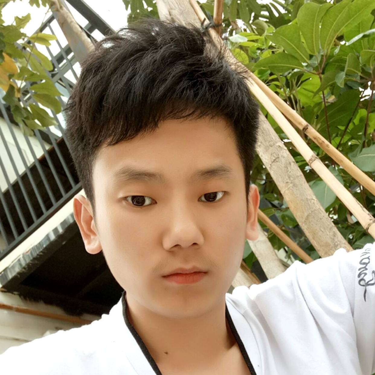帝王心❤的照片