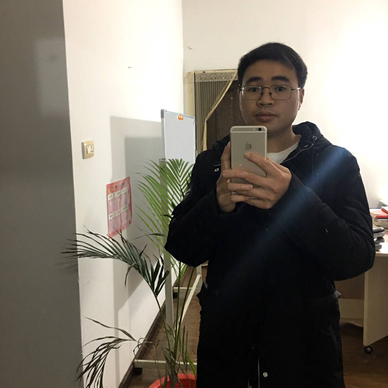 陶豆的照片