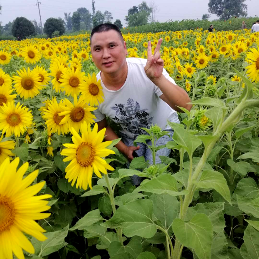 洋葱怕孤单的照片